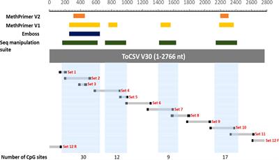 The identification of the methylation patterns of tomato curly stunt virus in resistant and susceptible tomato lines